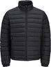 JREBGAZING LIGHT PADDED JACKET COLL