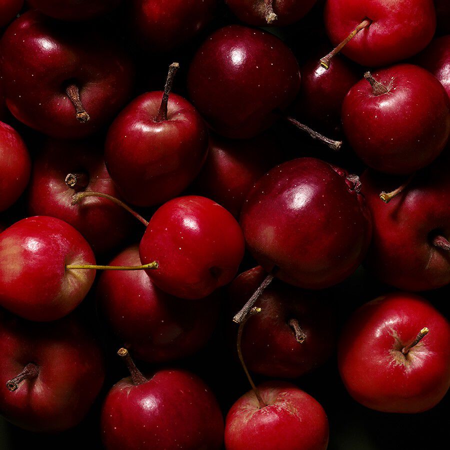 Renewal Overnight Mask