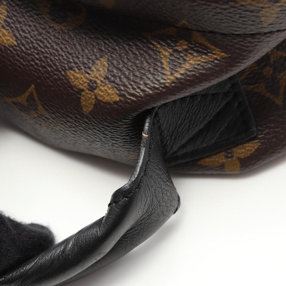 Louis Vuitton Backpack