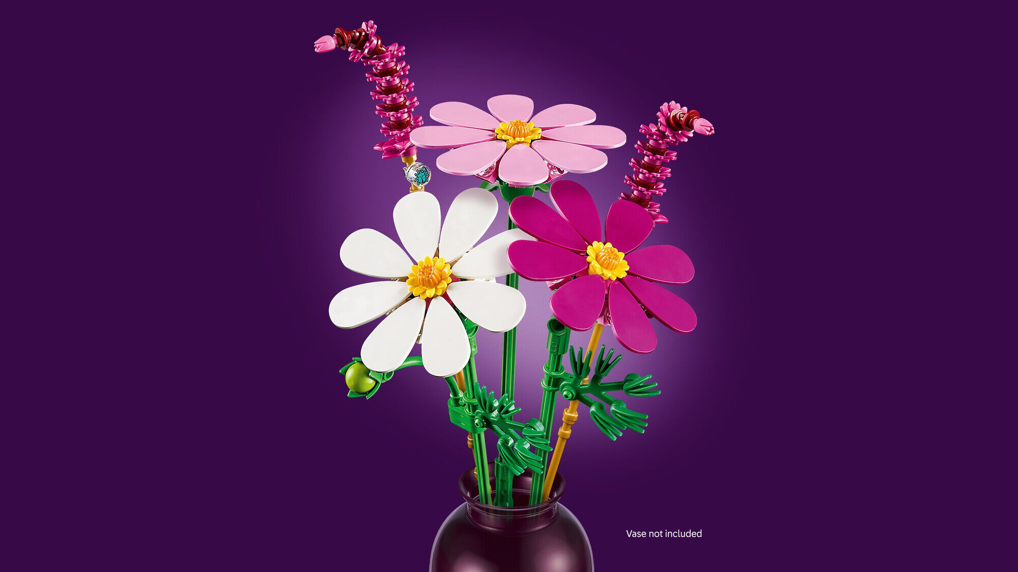 Stolt kavaler-blomster 11514