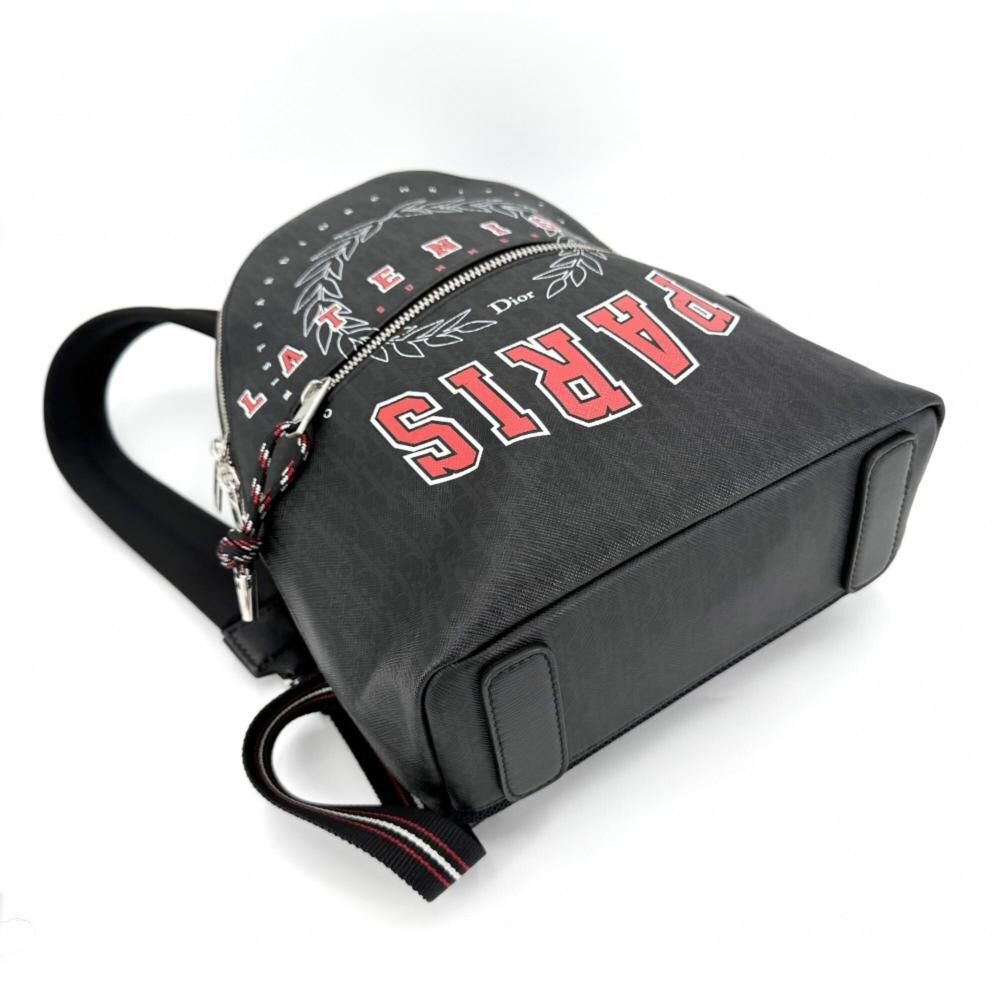 Dior Backpack