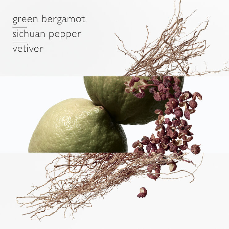 TERRE D'HERMÈS EAU INTENSE VÈTIVER, EAU DE PARFUM