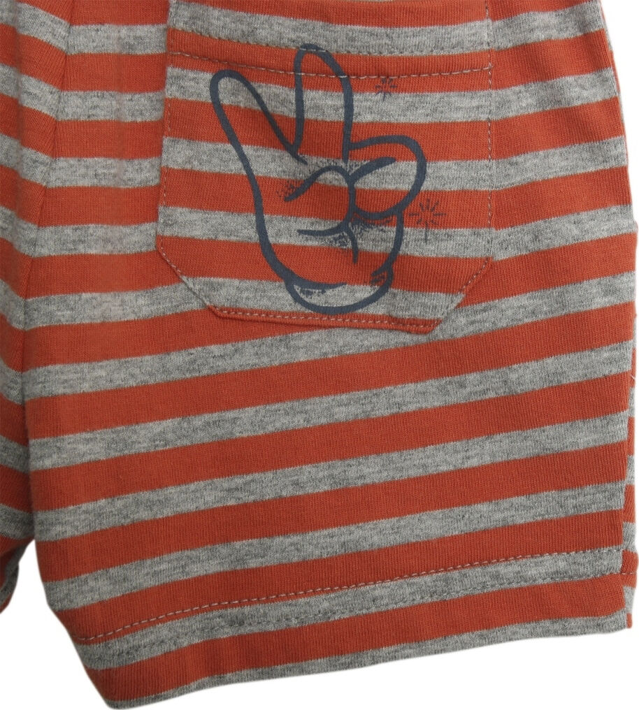 Disney Mickey Shorts