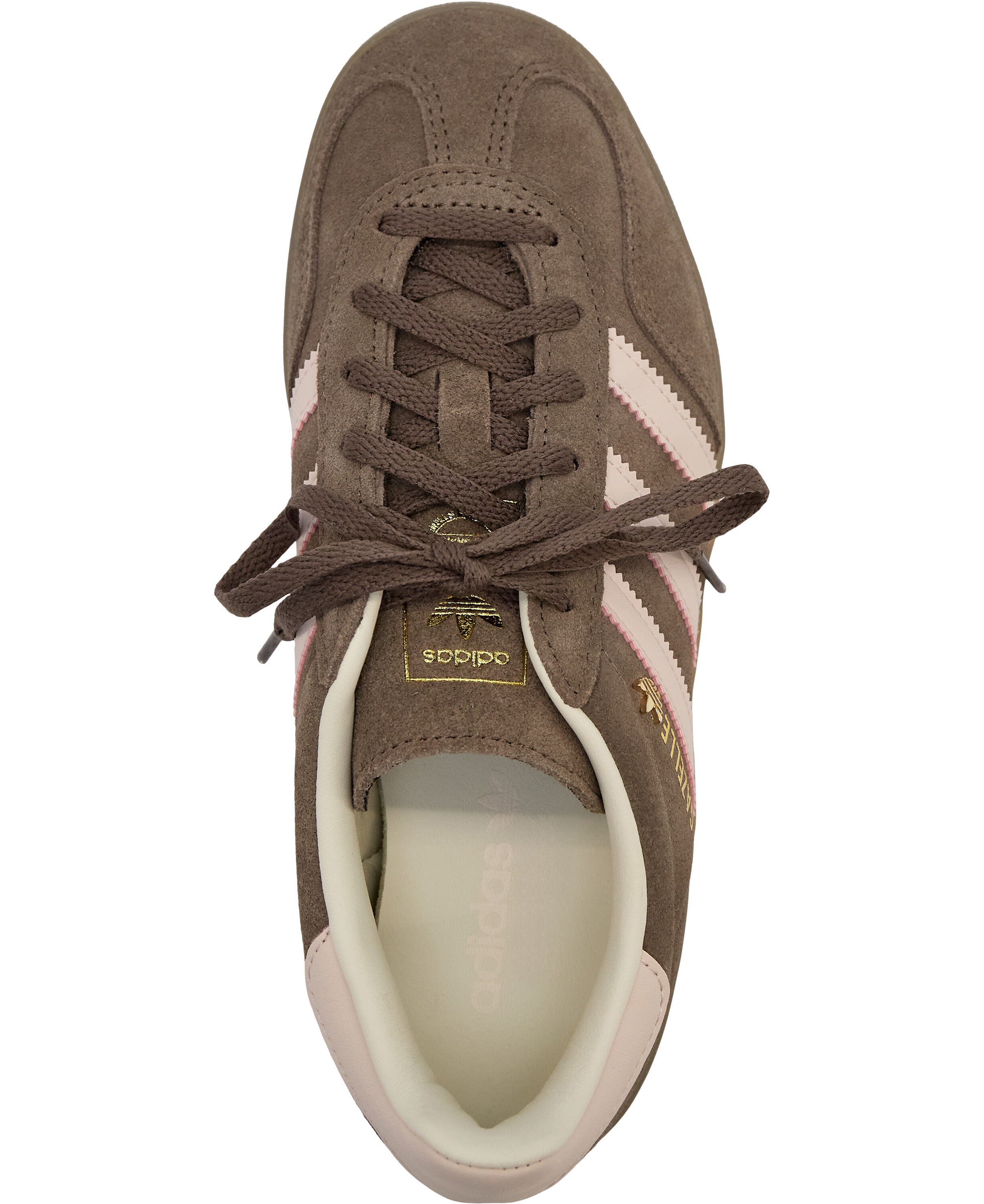 GAZELLE INDOOR W