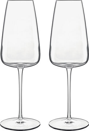 Champagneglass Talismano 40 cl 2 stk. Klar