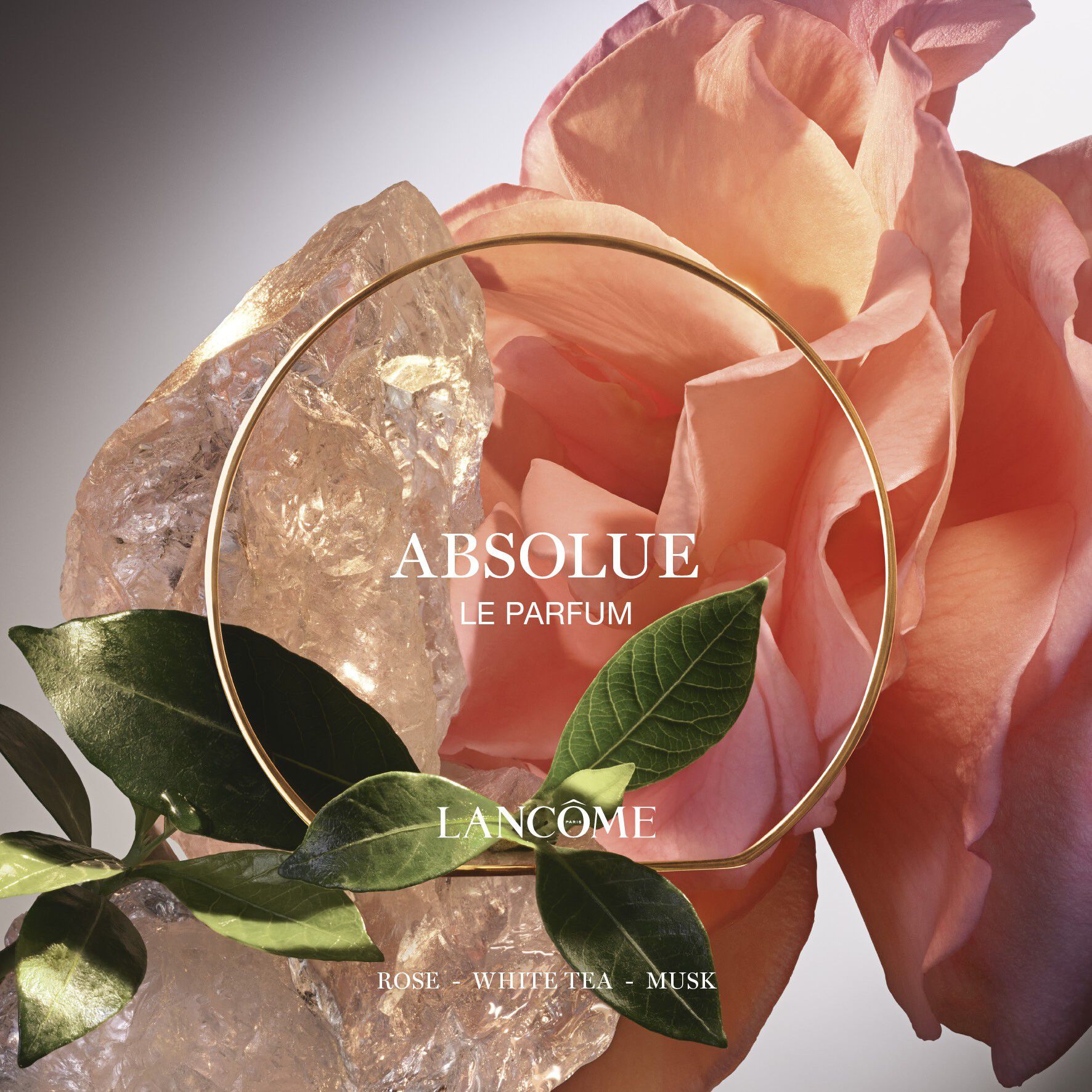 Absolue Les Parfums LE PARFUM Eau de Parfum