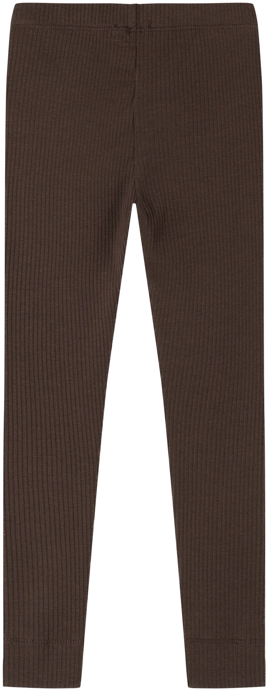 Leg