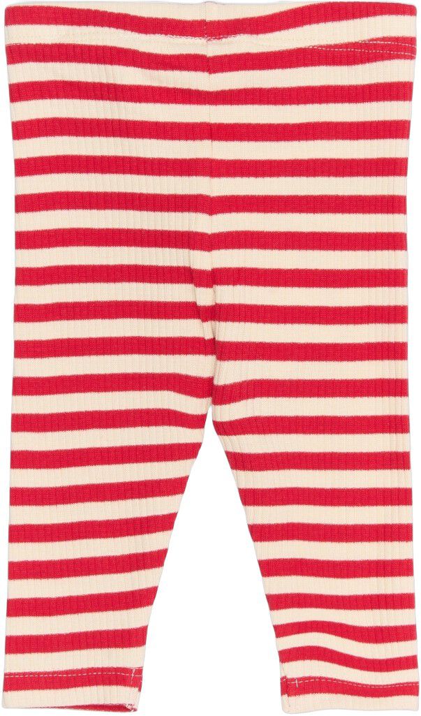 TNSBFro Rib Leggings