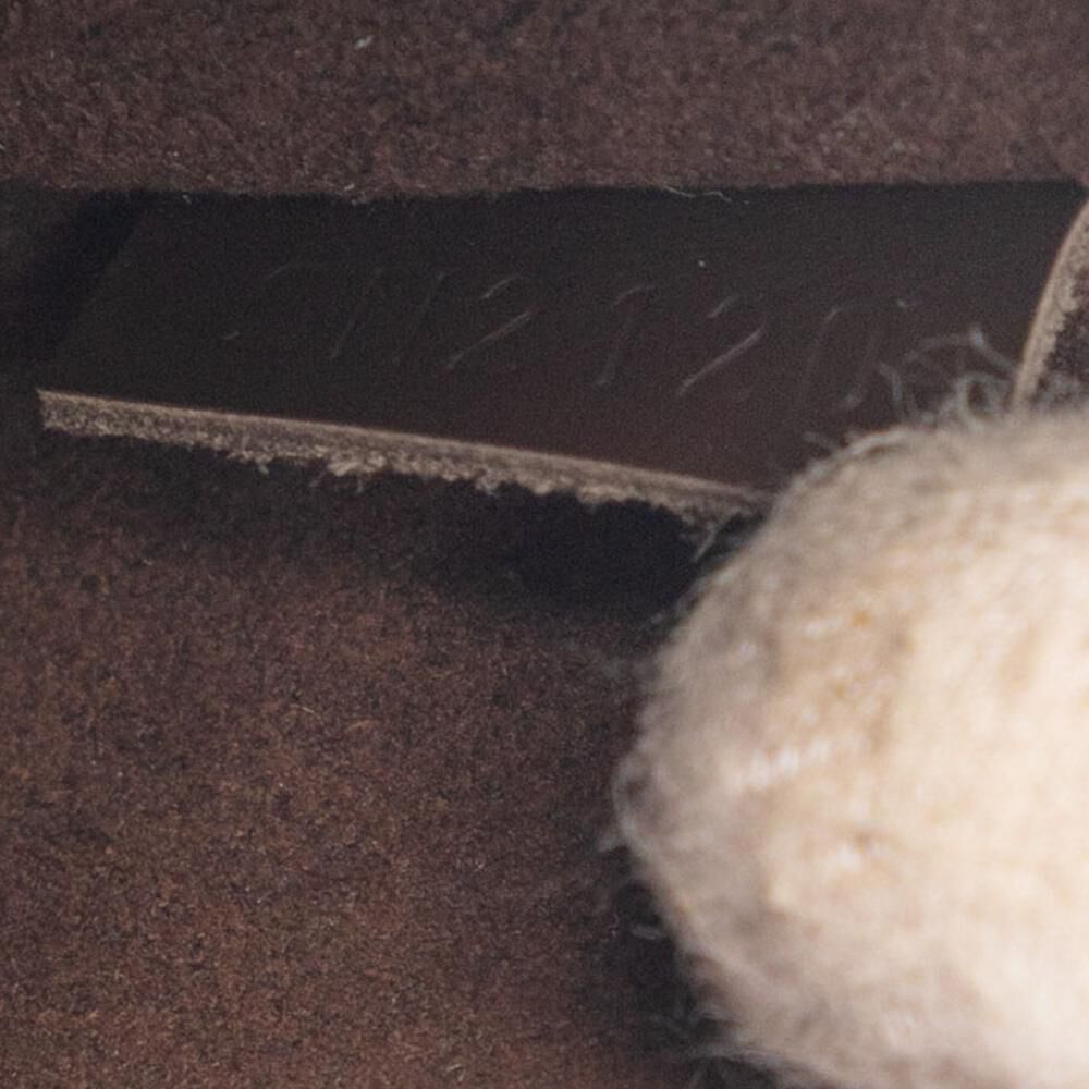 Louis Vuitton Clutch