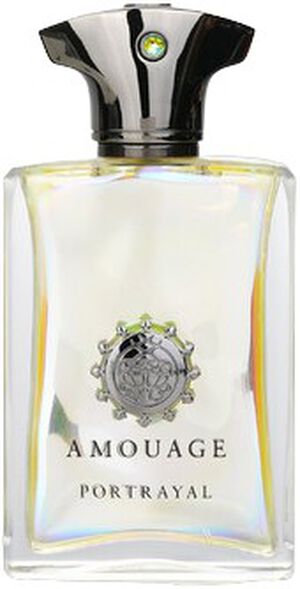 AMOUAGE REFLECTION MAN 45 EDP 100ML