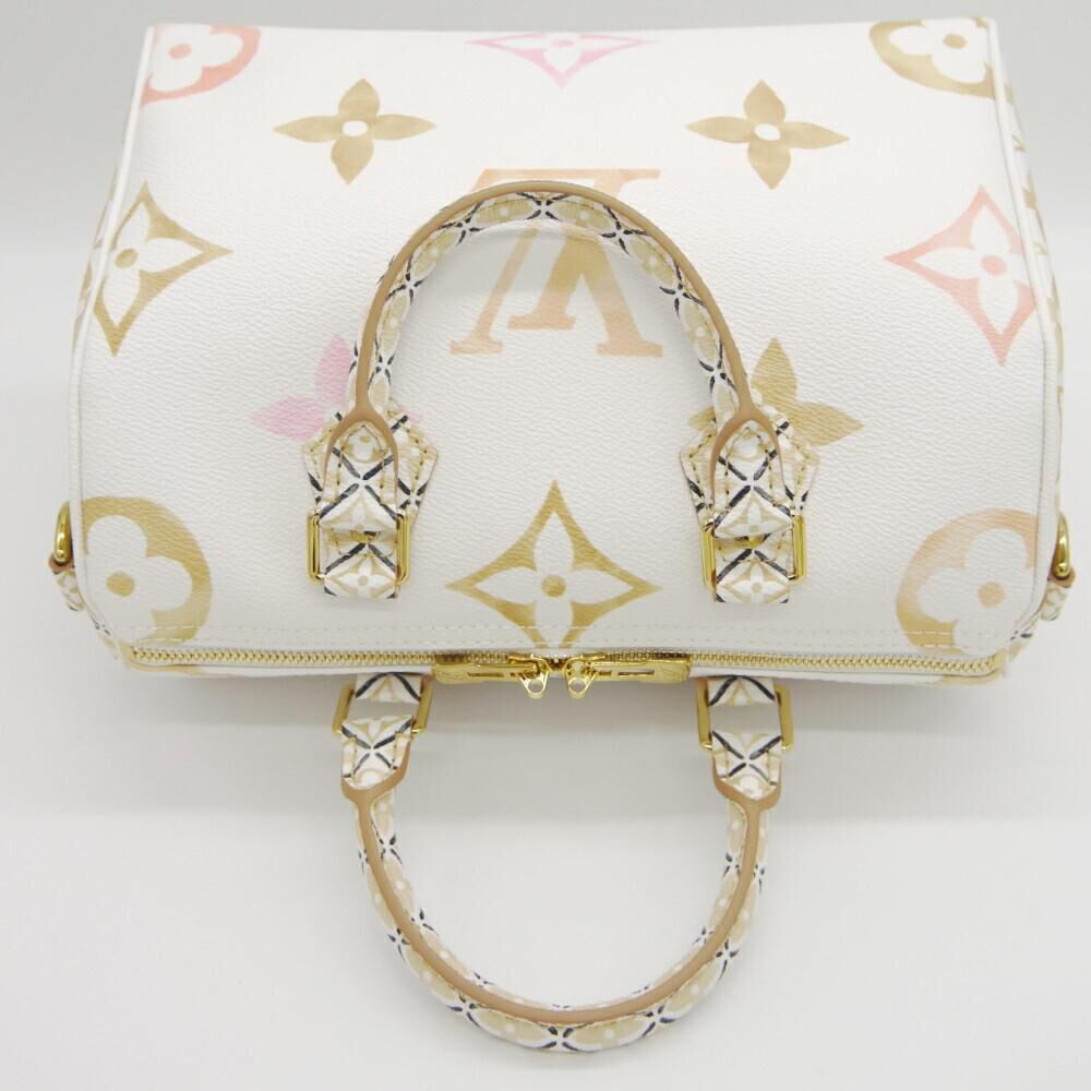 Louis Vuitton Speedy