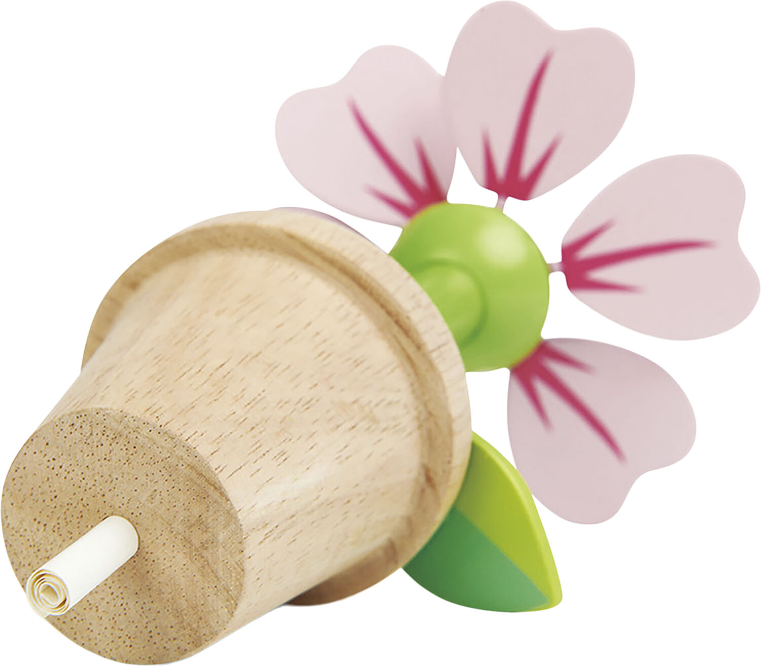 Tender Leaf - Blomst i potte