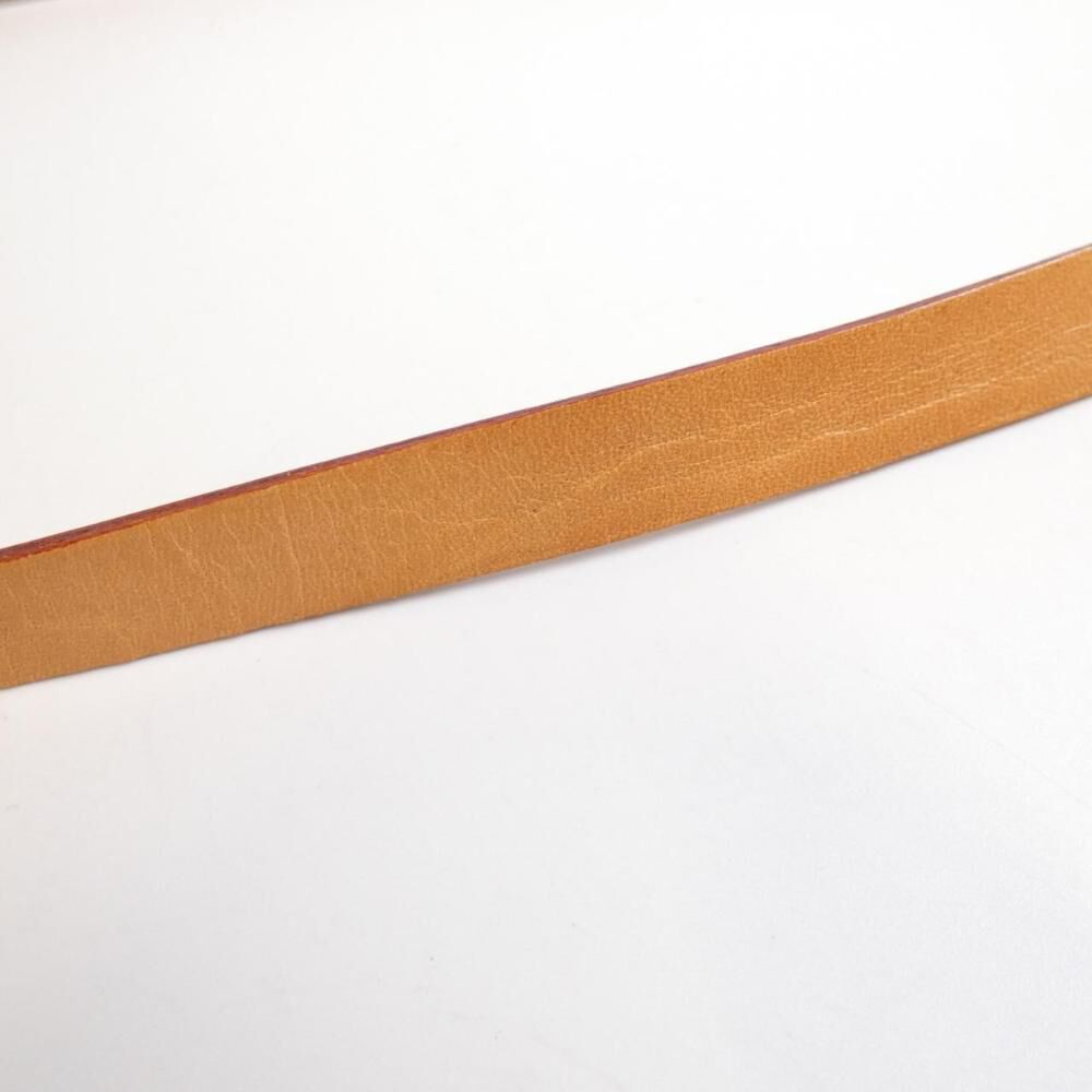 Louis Vuitton Florentine Pochette