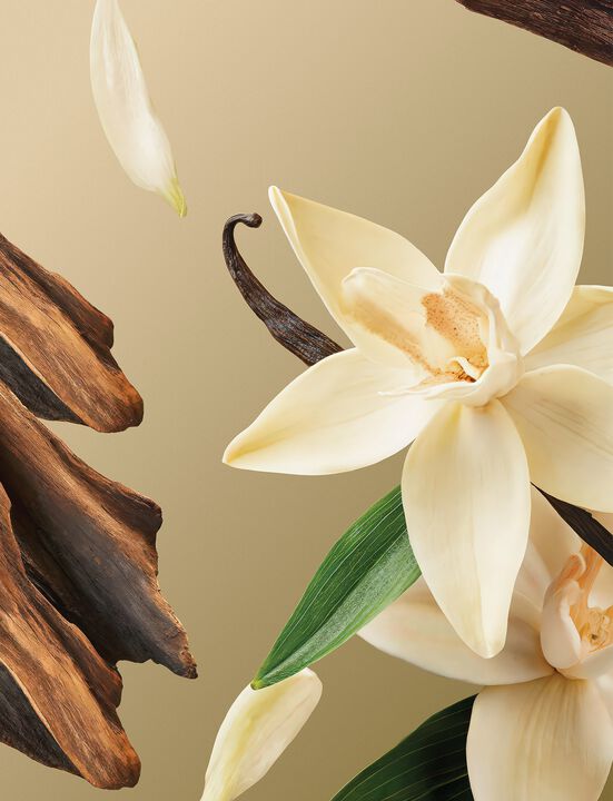 Intuitia Home Perfume 250ml