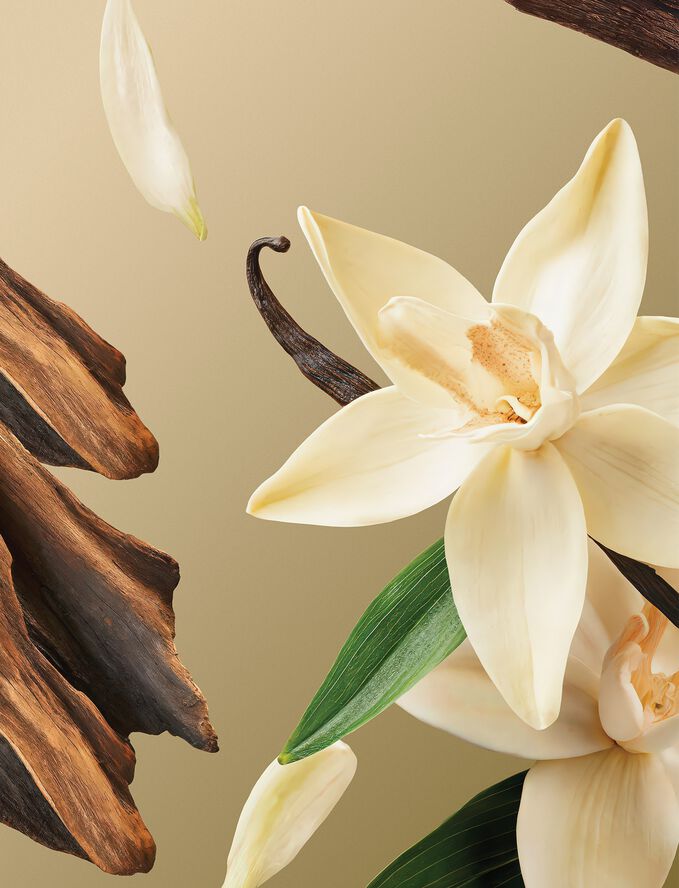 Intuitia Home Perfume 250ml