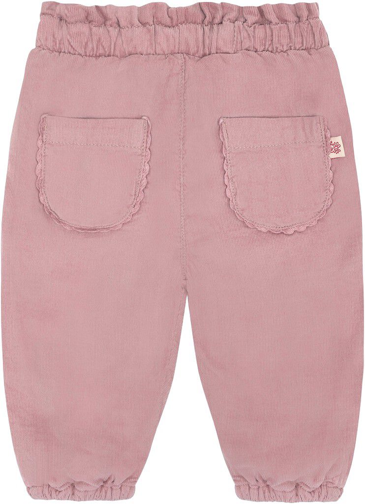 HCTrine Corduroy