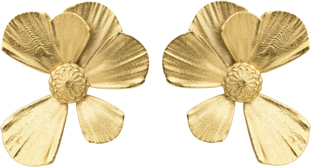 WILDFLOWER AMPLE &Oslash;RERINGE