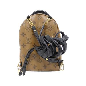 Louis Vuitton Palm Springs
