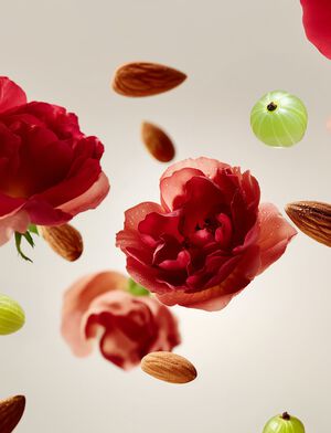 The Ritual of Ayurveda Body Lotion Mousse 150ml