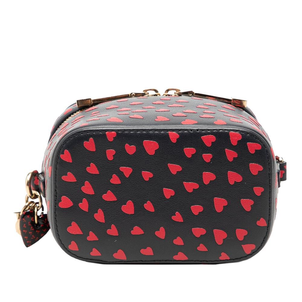 Dior Vanity Bag