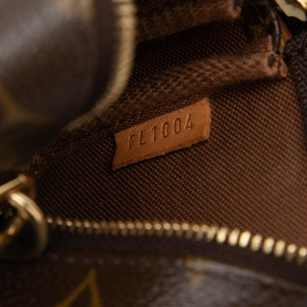 Louis Vuitton Pochette Accessoires