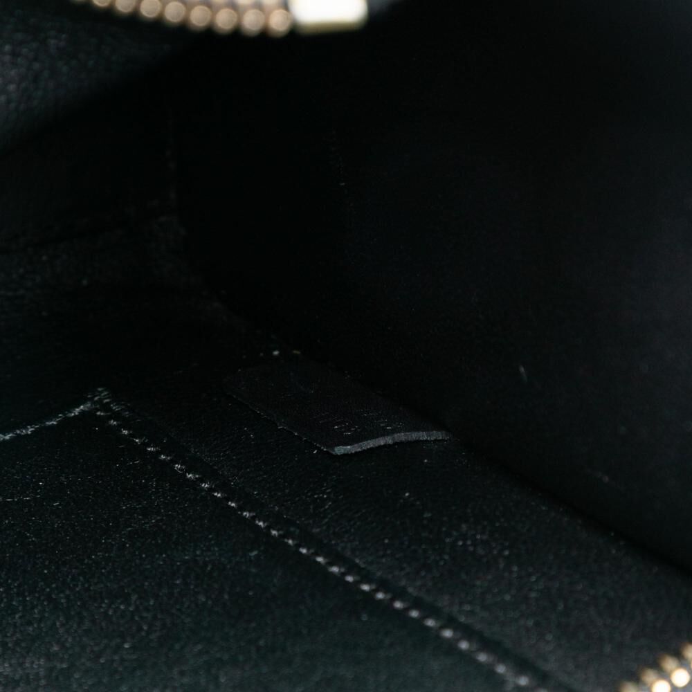 Celine Luggage