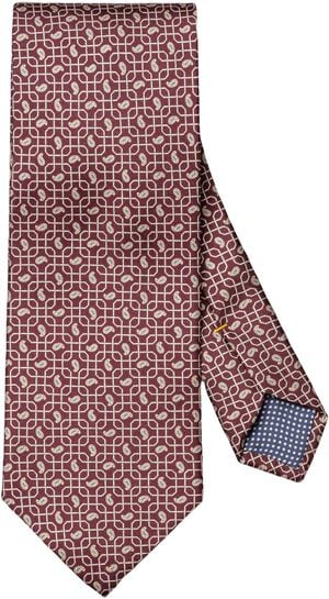 Paisley Print Silk Tie