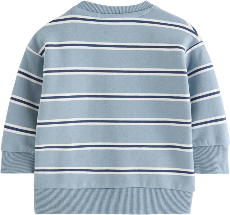 Sweatshirt med borstad insida