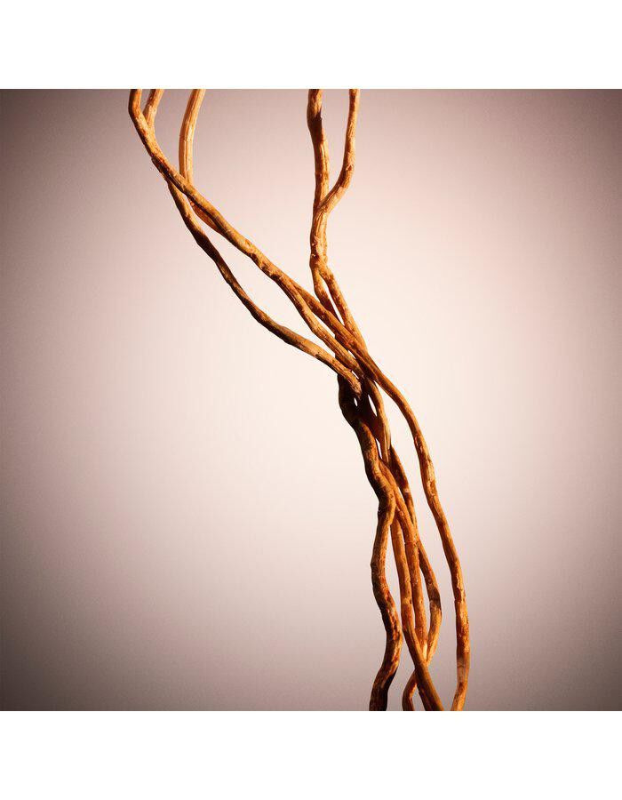 HUGO BOSS The Scent for Her Le Parfum Eau de parfum