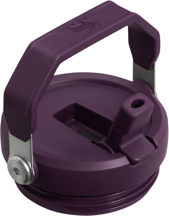 IceFlow Flip Straw Tumbler 0.89L