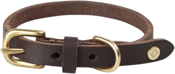 Robin Hundehalsb&aring;nd - Lille