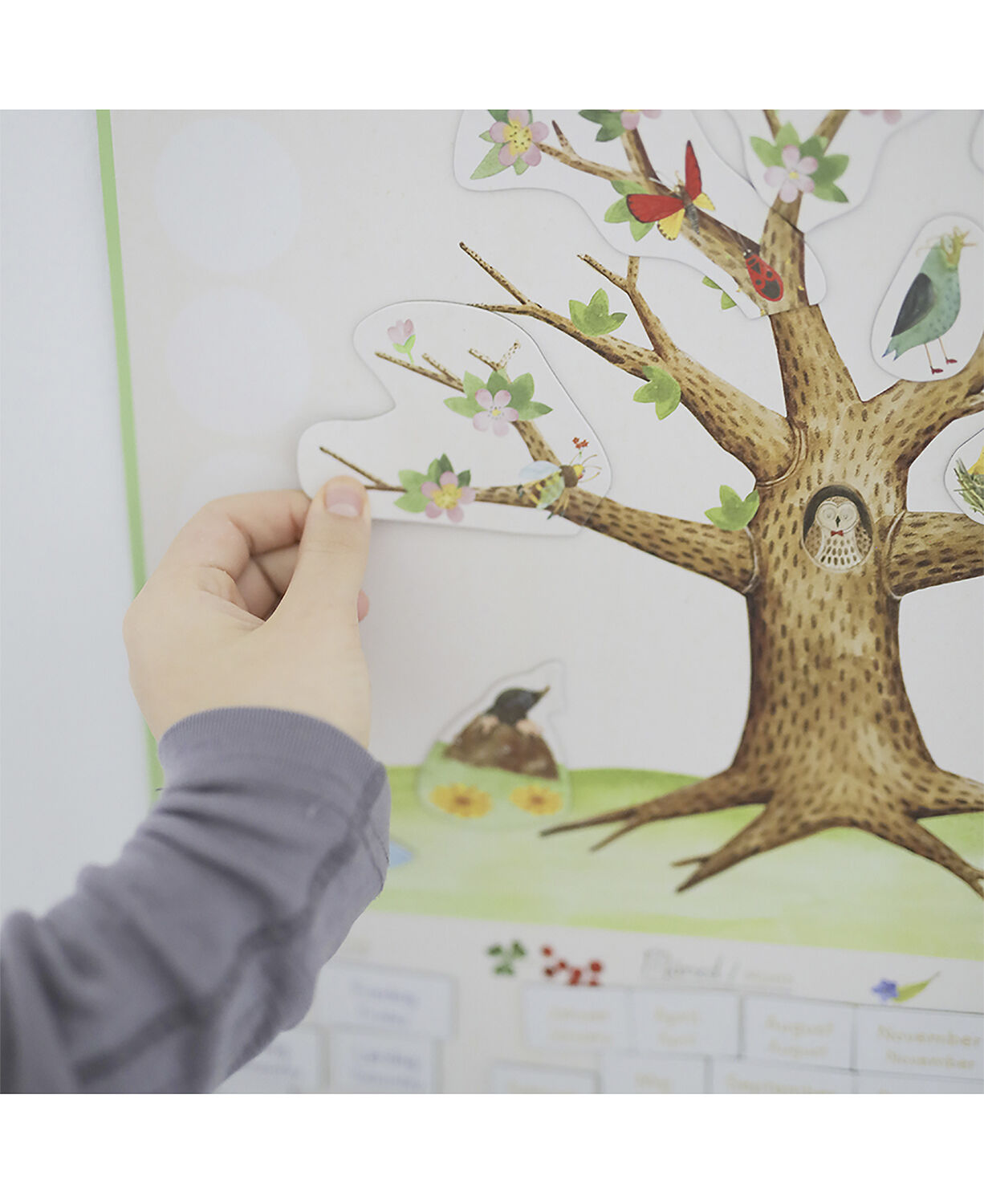 Moulin Roty - Magnetisk evighedskalender - &aring;rstiderne