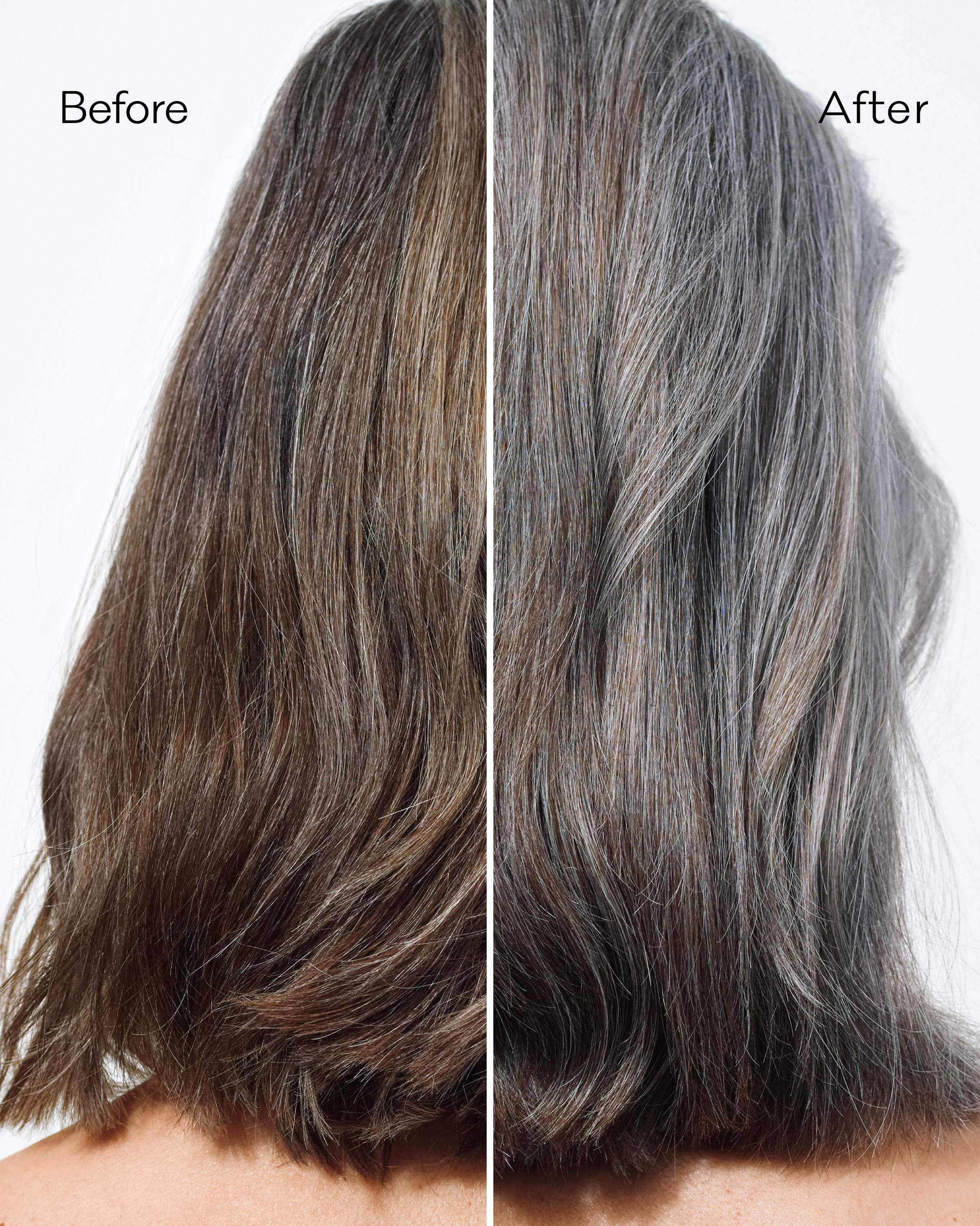 Silver Conditioner
