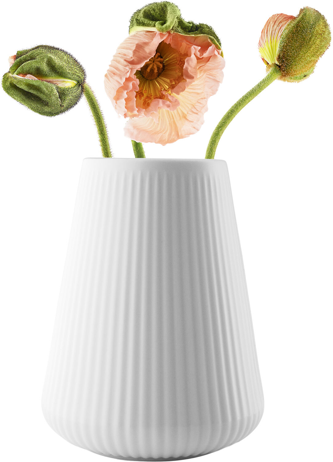 Legio Nova Vase 17 cm