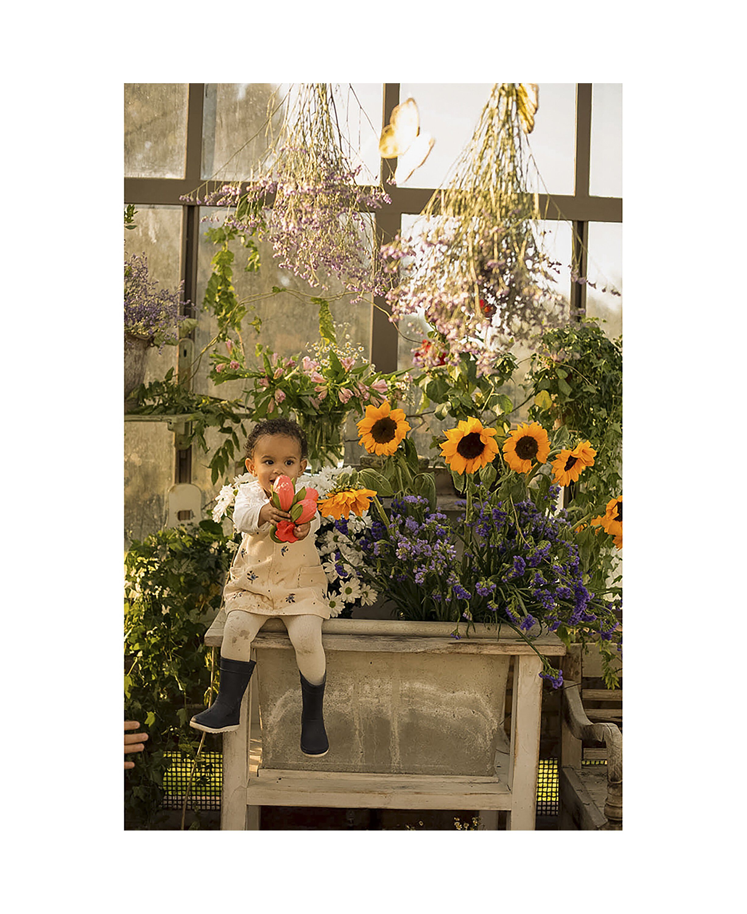 Oli & Carol - Bidering - Theo the Tulip