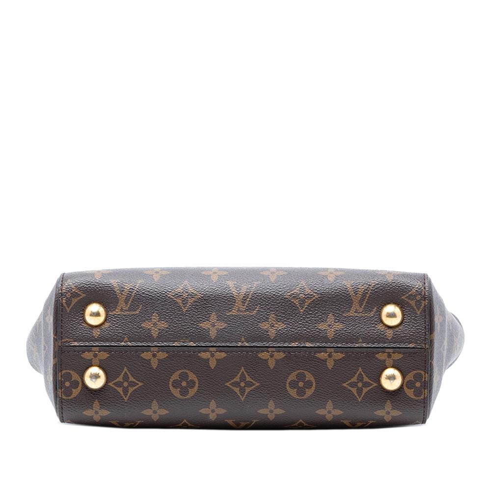 Louis Vuitton Cluny
