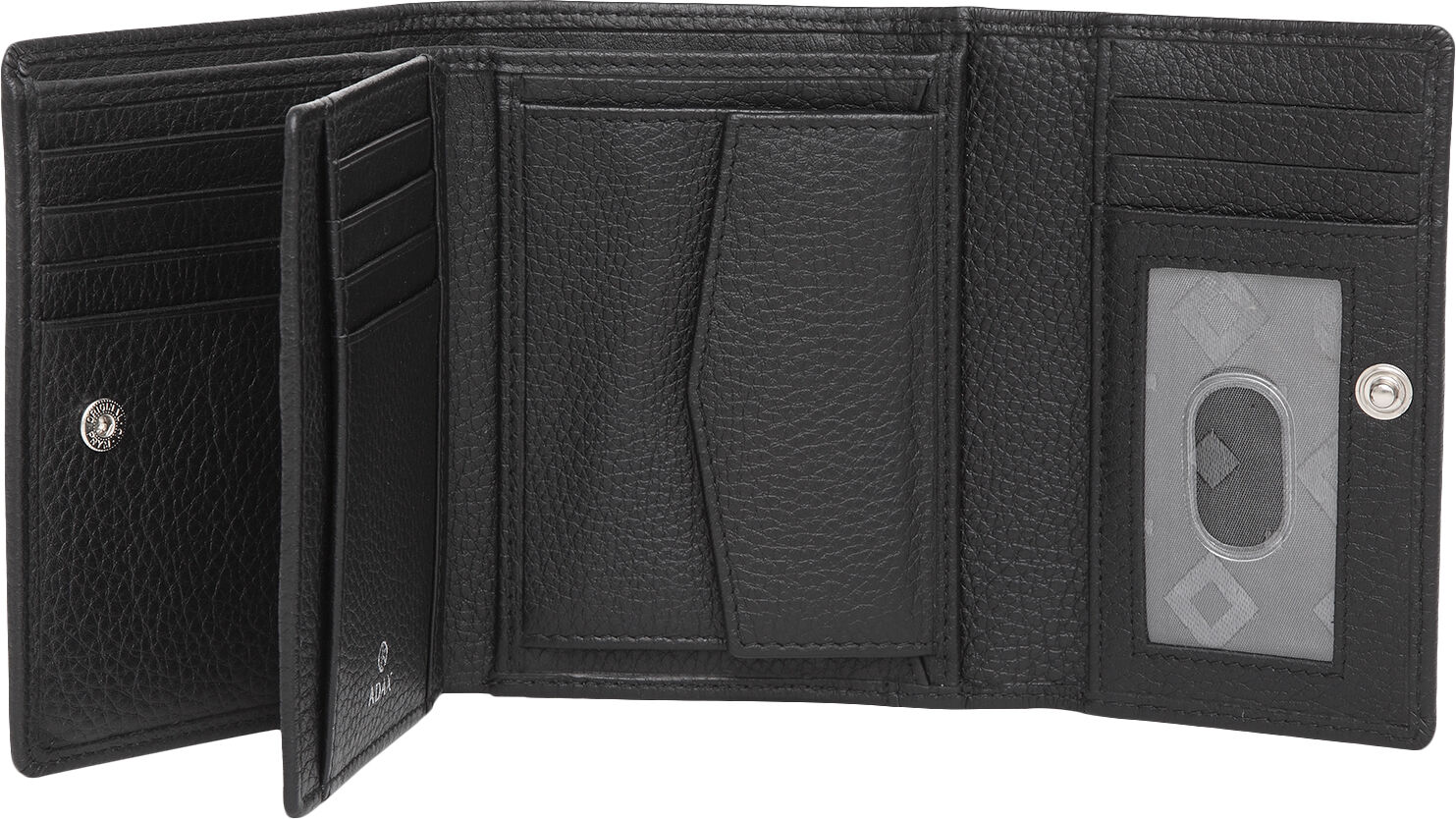 Cormorano pung regitze