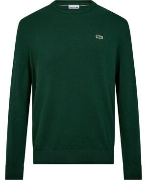 CREWNECKS SWEATERS MALE ADULT SWEAT