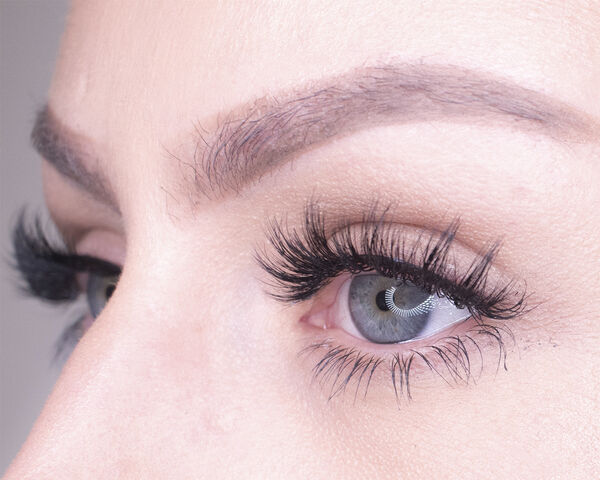 Monroe - Classic Collection