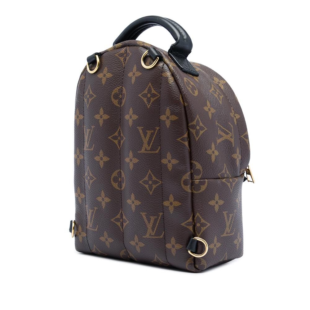 Louis Vuitton Palm Springs