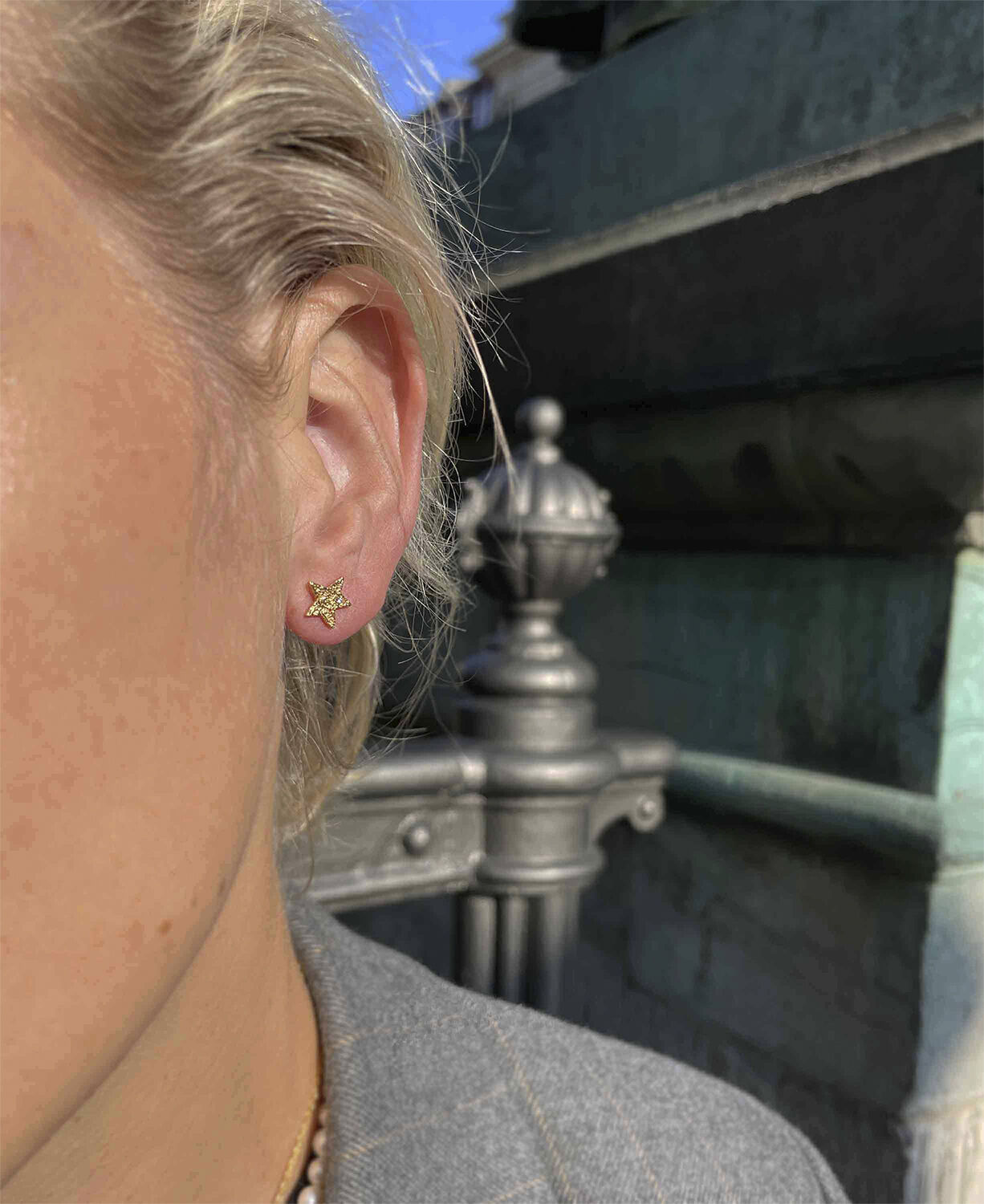 Astra &oslash;reringe