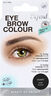 Eyebrow colour Black NO/DK