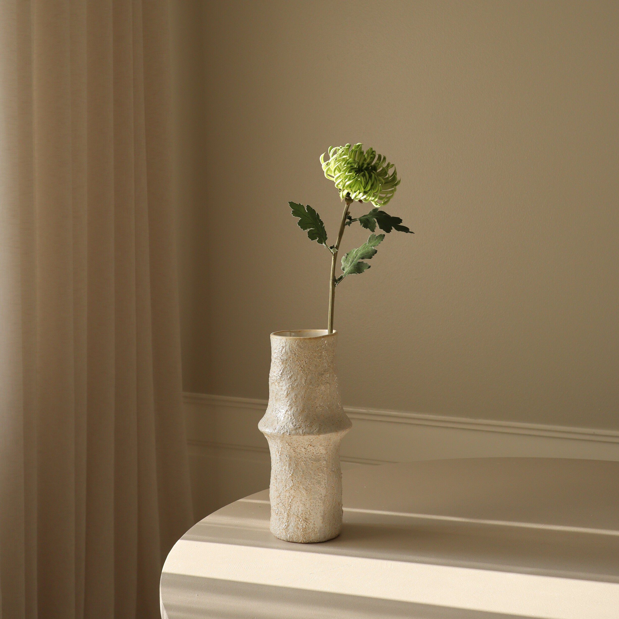 Semi-Cactus Dahlia Flower