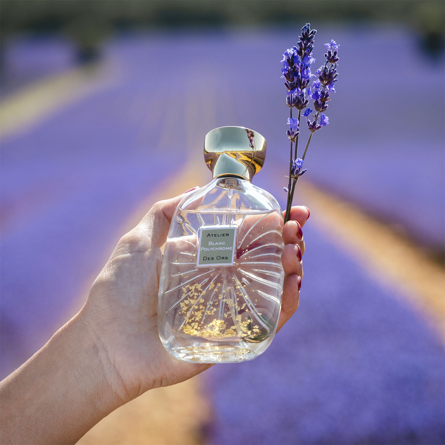 BLANC POLYCHROME - EDP 100ML