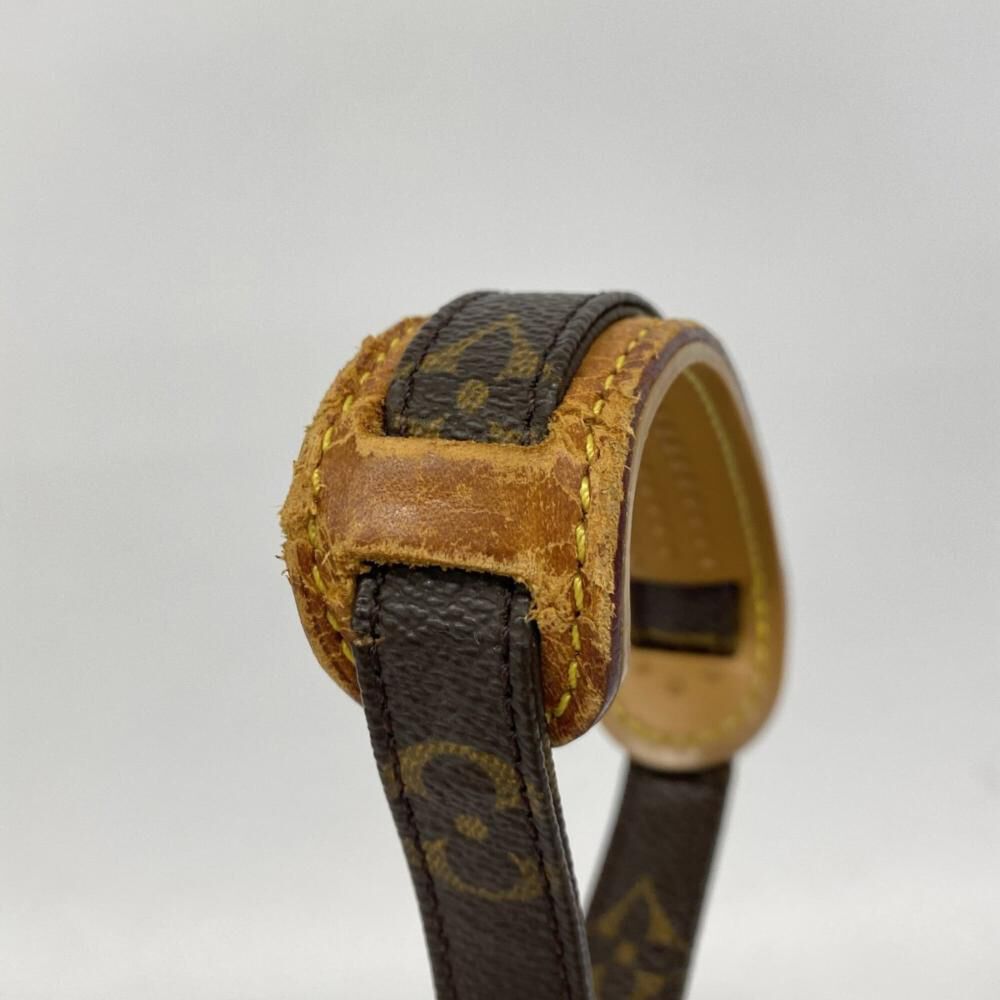 Louis Vuitton Danube