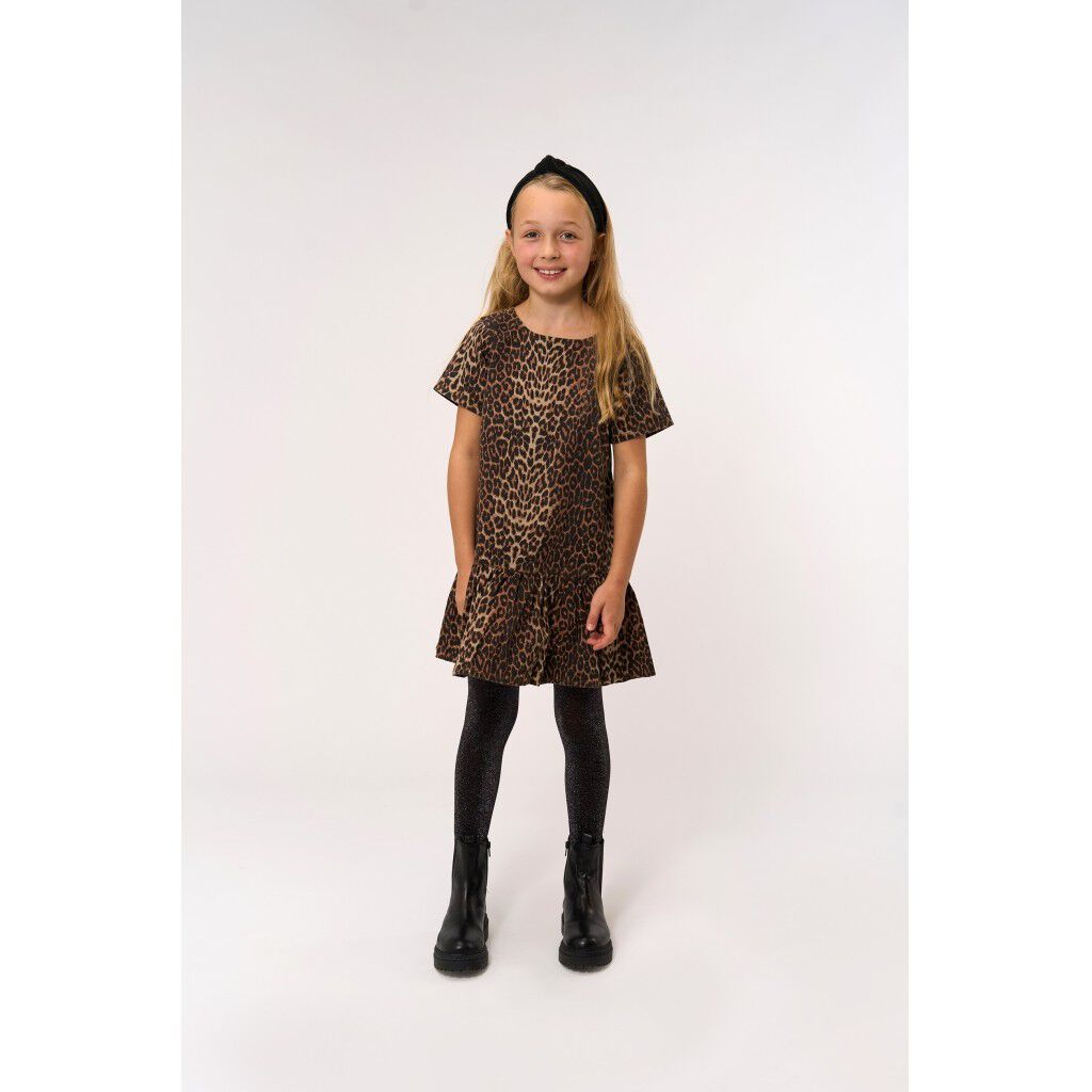 TNPanya S_S Denim Dress