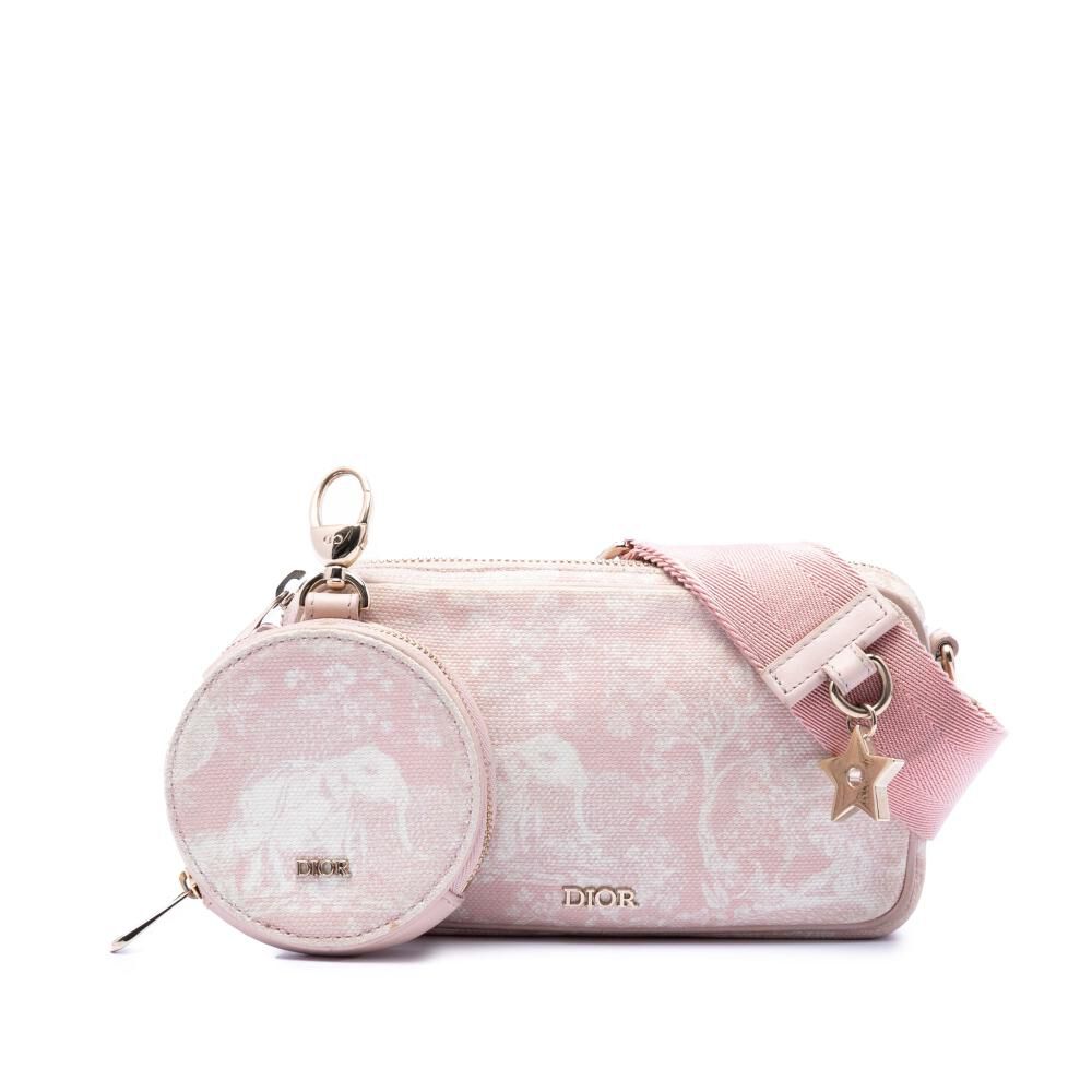 Dior Crossbody Bag