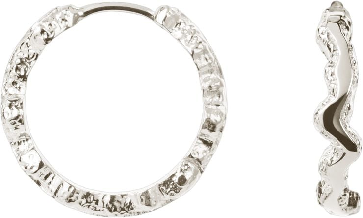 Small Shiny Sparkly Hoops