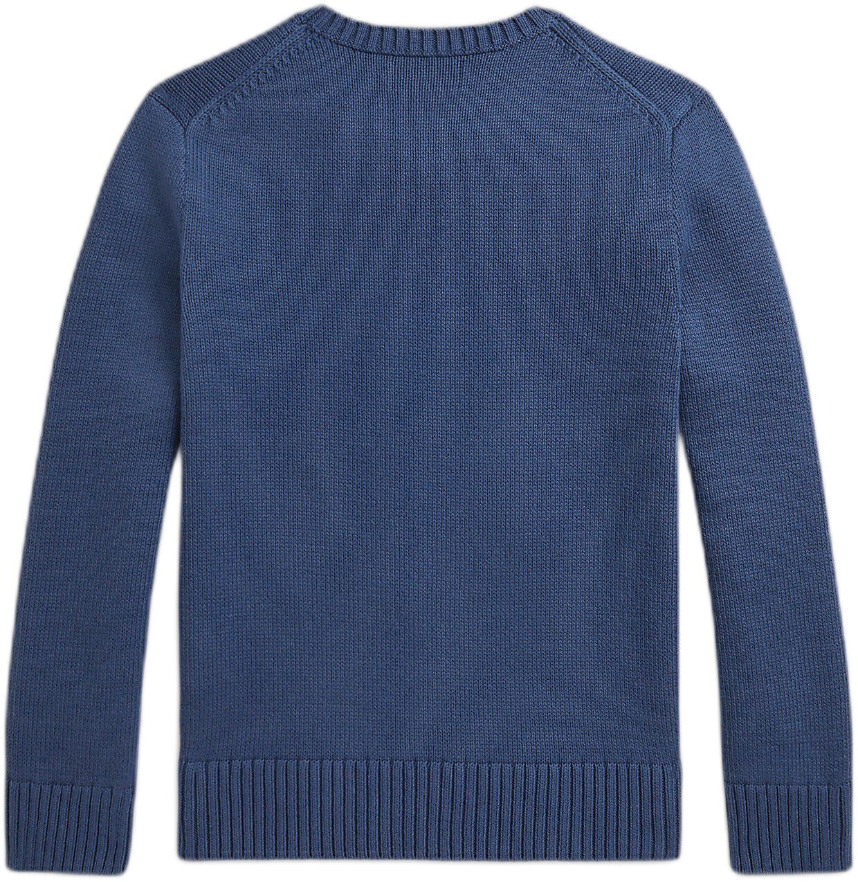 Polo Bear Sweater