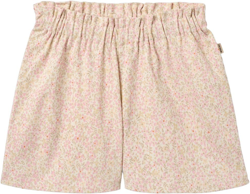 Shorts Sandy